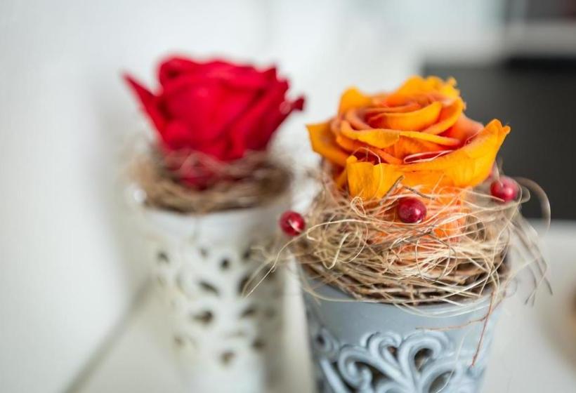 הוסטל Franz Anton