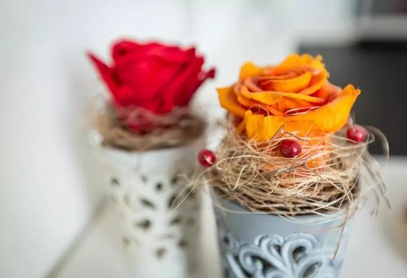 Retkeilymaja Franz Anton