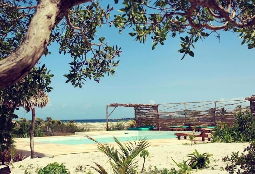 Pension Eco Kite Dunas