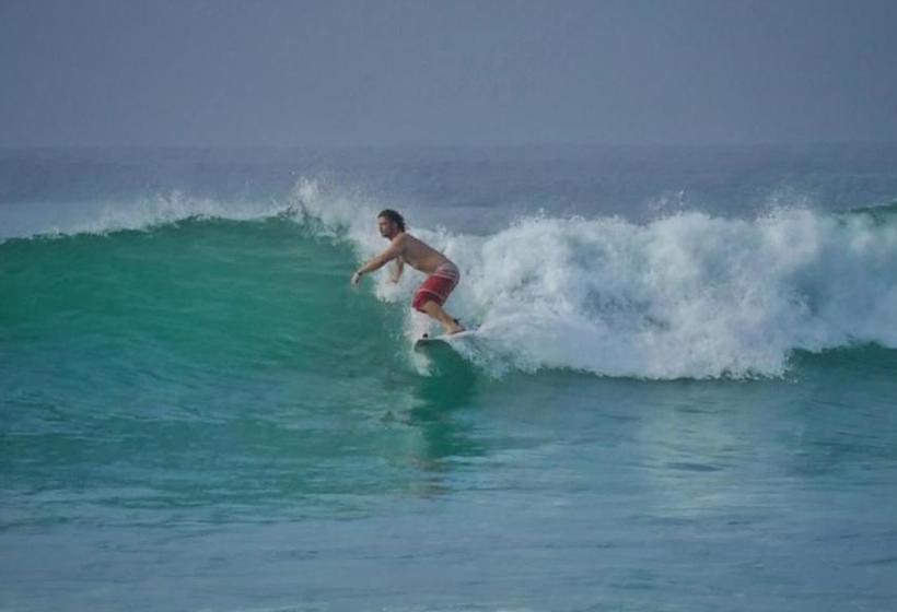 پانسیون Ozone Resort