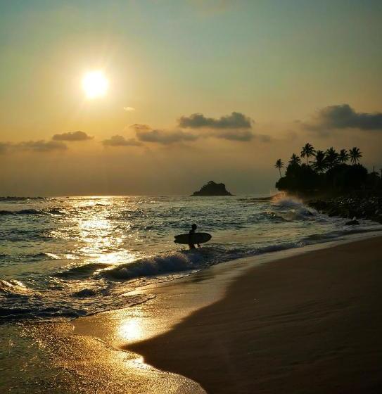 پانسیون Ozone Resort