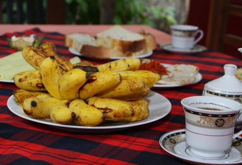 پانسیون Ozone Resort