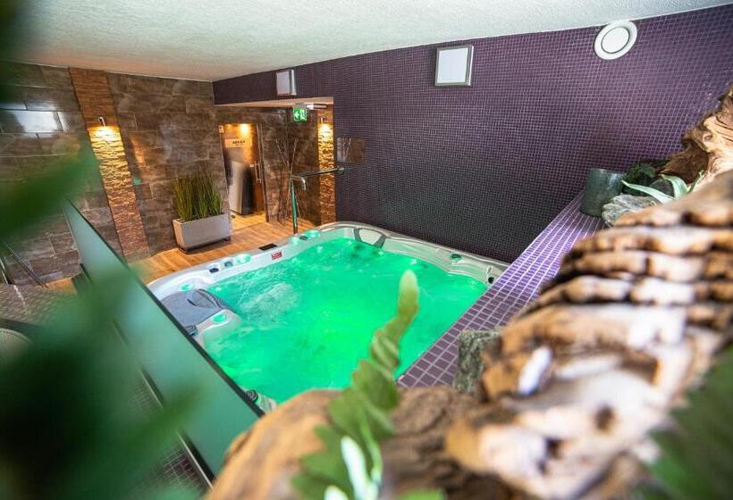 ペンション Wellness Penzión Ferrata