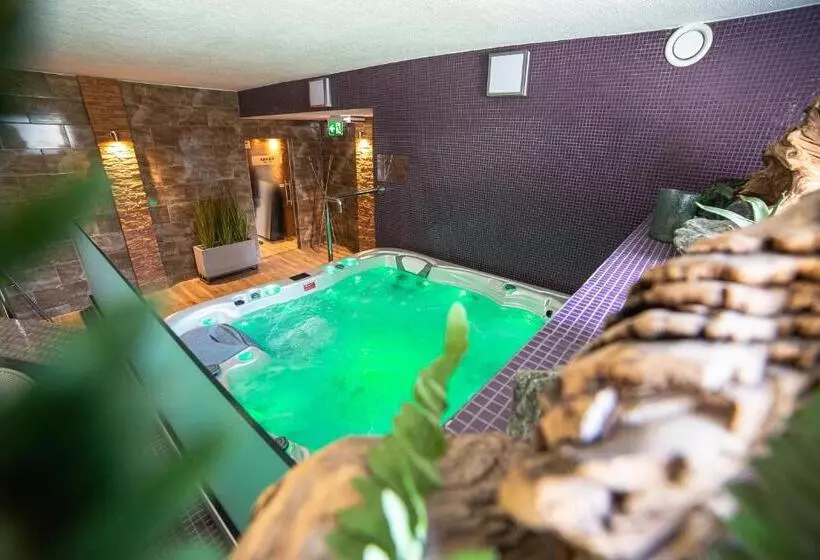 ペンション Wellness Penzión Ferrata