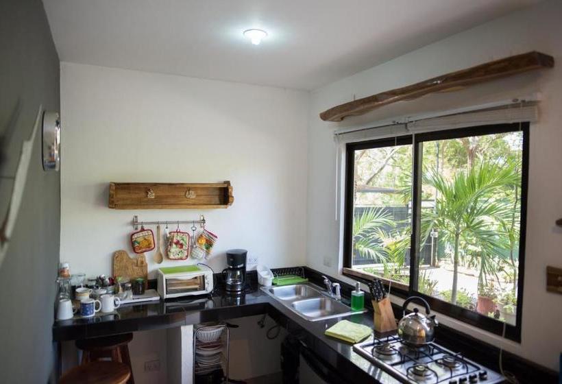 فندق Tamarindo Sunshine