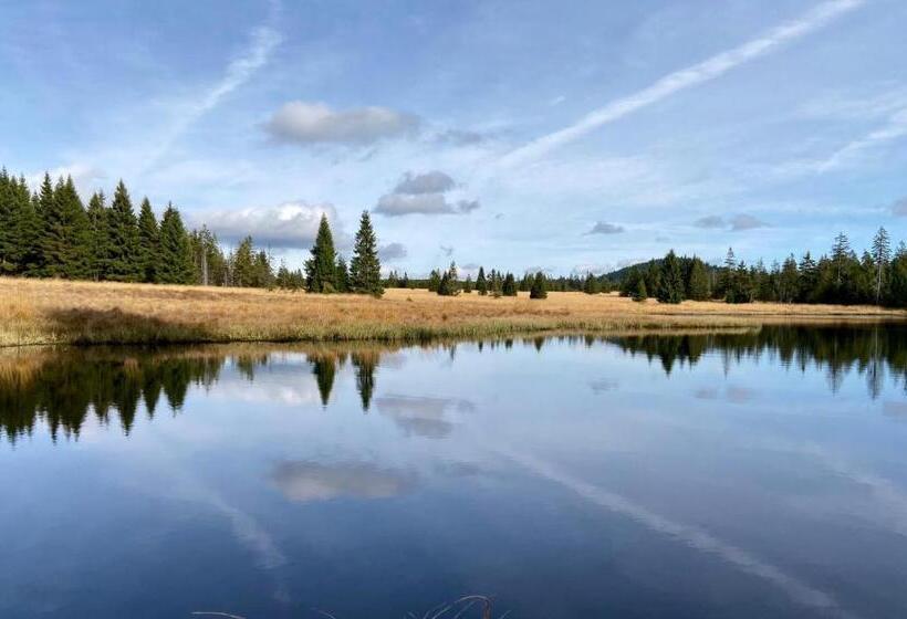 Panzió Penzion U Můstku Hřebečná
