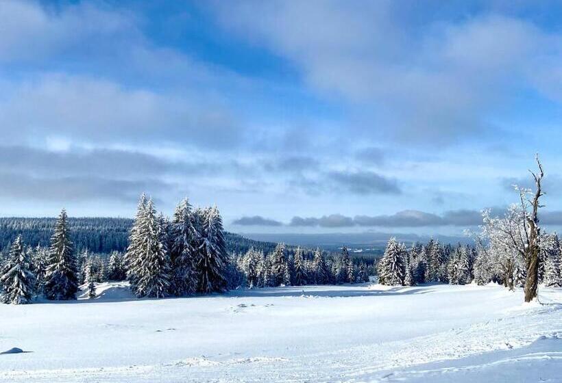 Panzió Penzion U Můstku Hřebečná