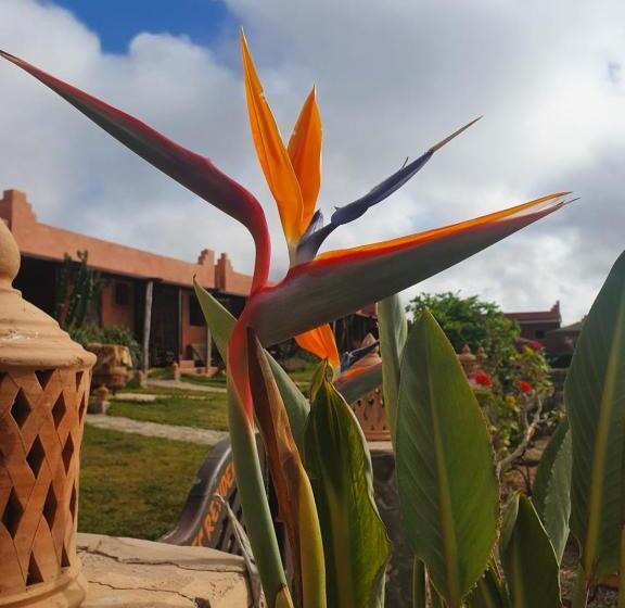 ユースホステル Le Nid D Aigle