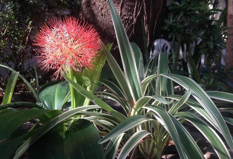 بنسيون Casa Frankie