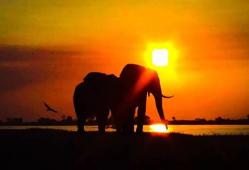 پانسیون Elephant Trail Guesthouse And Backpackers