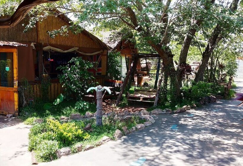 پانسیون Elephant Trail Guesthouse And Backpackers