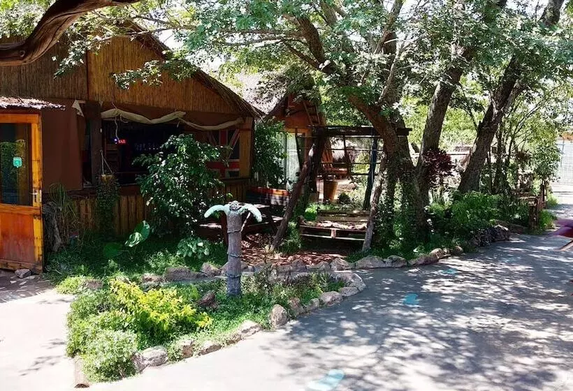 پانسیون Elephant Trail Guesthouse And Backpackers