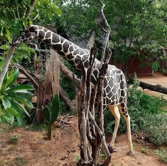 پانسیون Elephant Trail Guesthouse And Backpackers