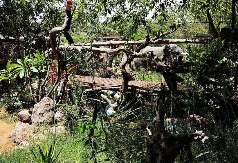 پانسیون Elephant Trail Guesthouse And Backpackers