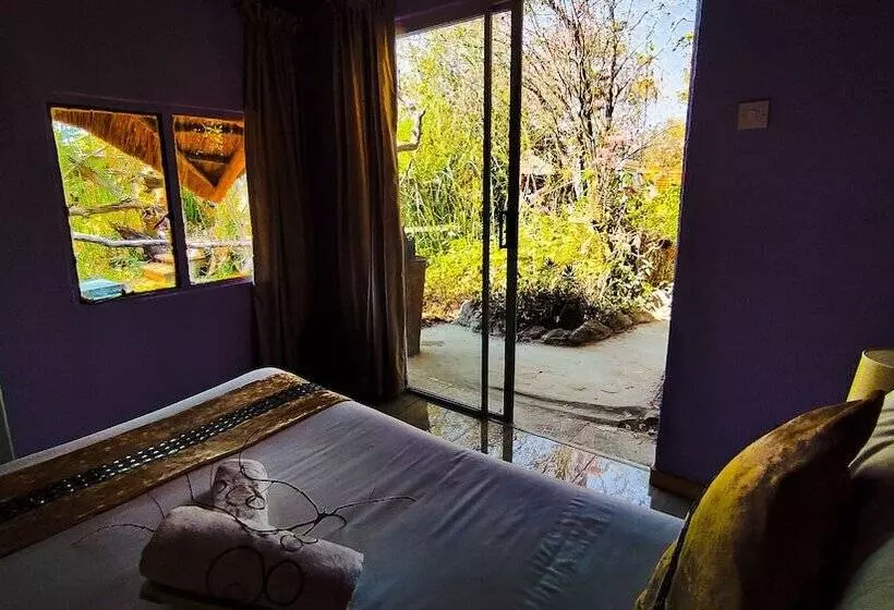 پانسیون Elephant Trail Guesthouse And Backpackers