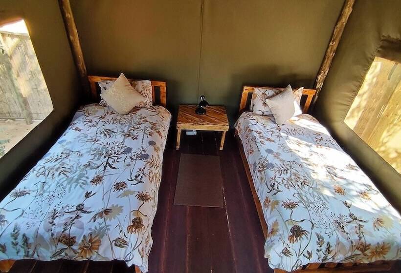 پانسیون Elephant Trail Guesthouse And Backpackers