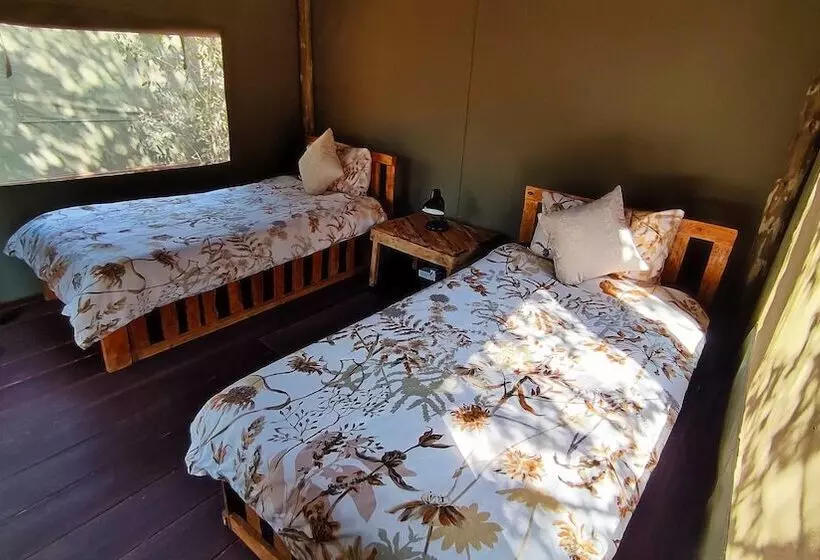 پانسیون Elephant Trail Guesthouse And Backpackers