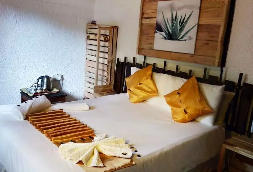 پانسیون Elephant Trail Guesthouse And Backpackers