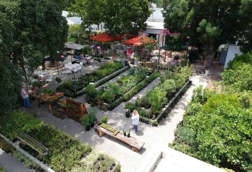 بنسيون Fiore Guest Accommodation