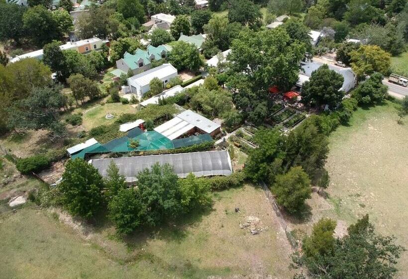 بنسيون Fiore Guest Accommodation