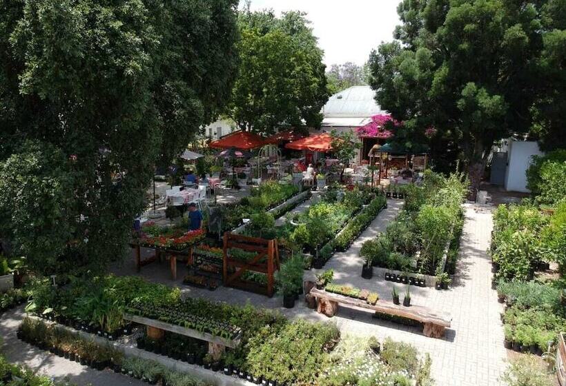 بنسيون Fiore Guest Accommodation