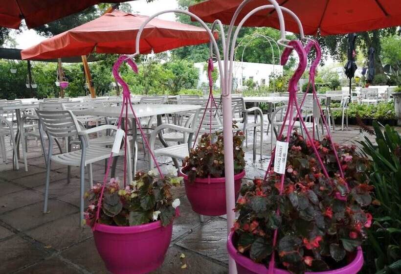 بنسيون Fiore Guest Accommodation