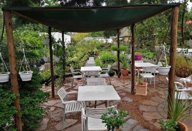 بنسيون Fiore Guest Accommodation