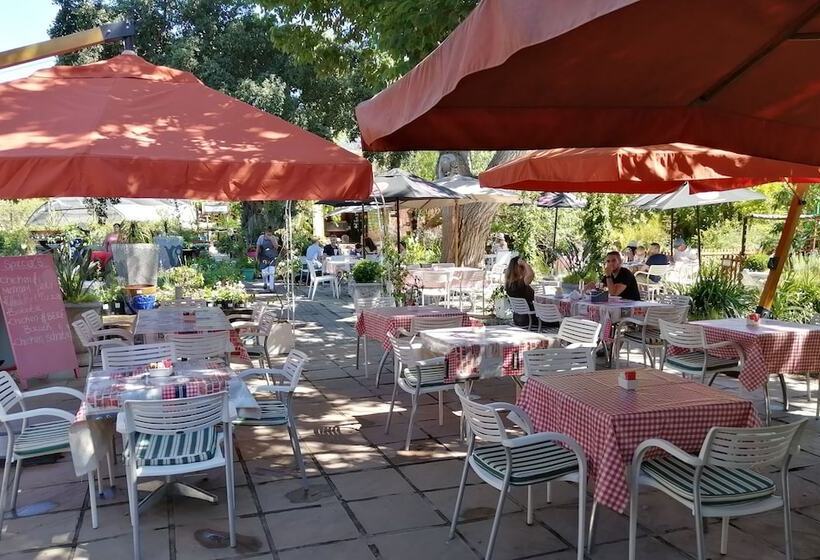 بنسيون Fiore Guest Accommodation