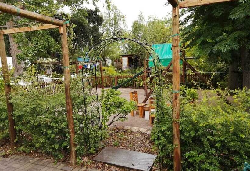 بنسيون Fiore Guest Accommodation