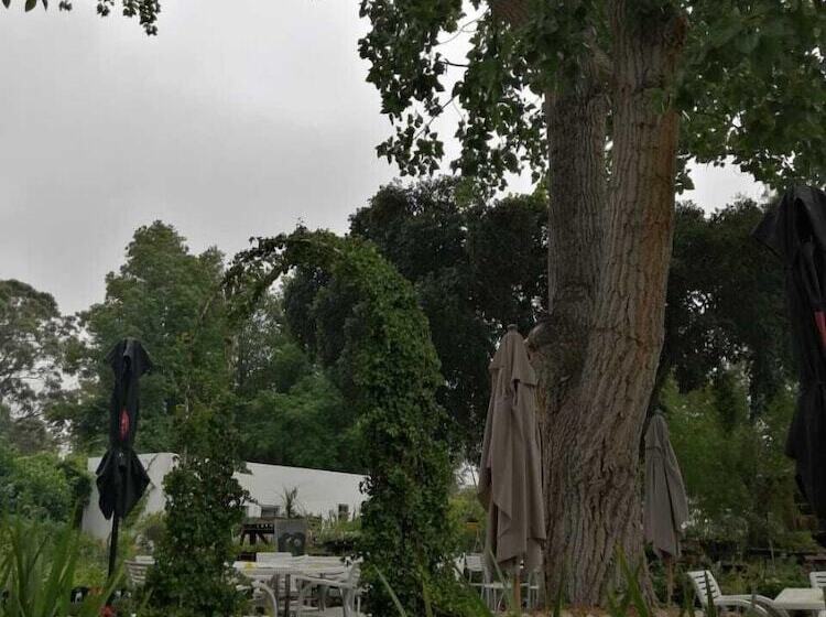 بنسيون Fiore Guest Accommodation