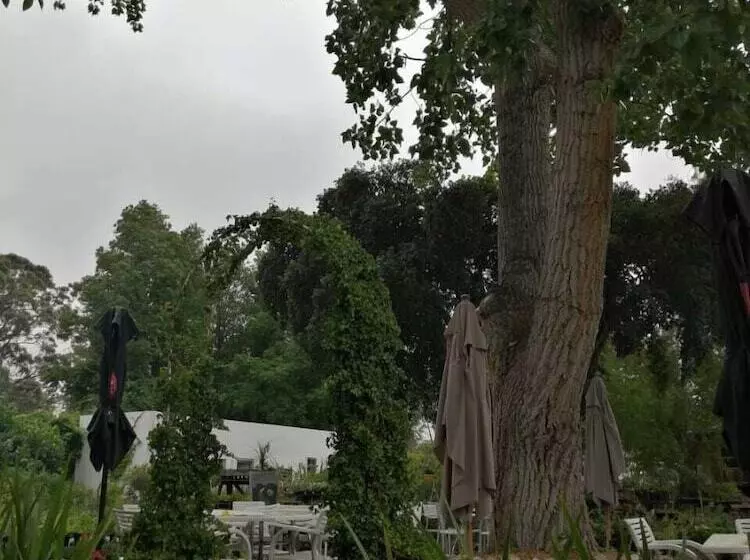 Majatalo Fiore Guest Accommodation