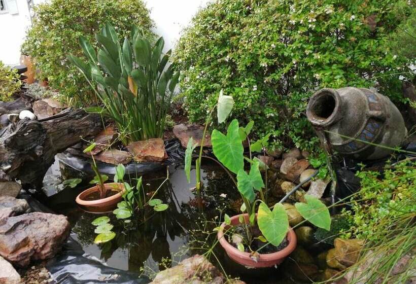 بنسيون Fiore Guest Accommodation