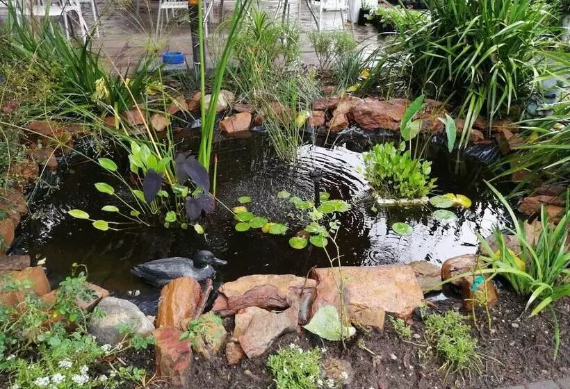 Majatalo Fiore Guest Accommodation