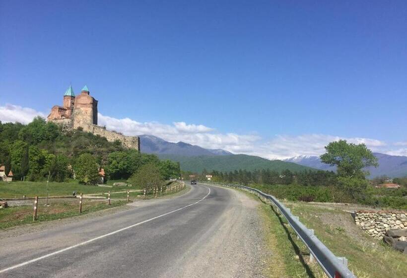 پانسیون Guest House Gzirishvili