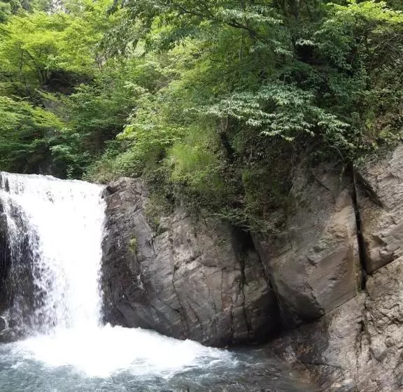 پانسیون Guest House Gzirishvili