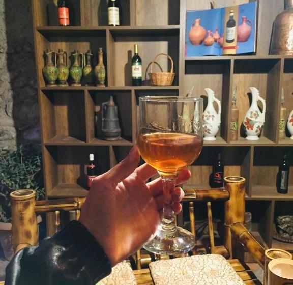 پانسیون Guest House Gzirishvili