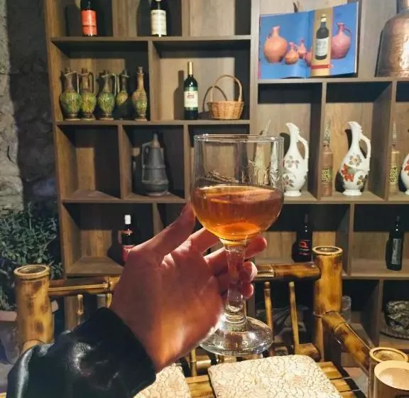 پانسیون Guest House Gzirishvili