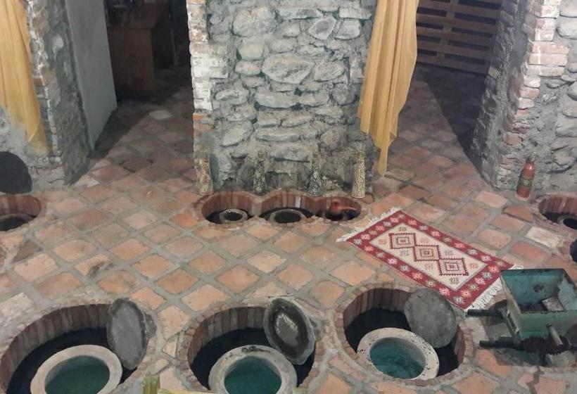 پانسیون Guest House Gzirishvili