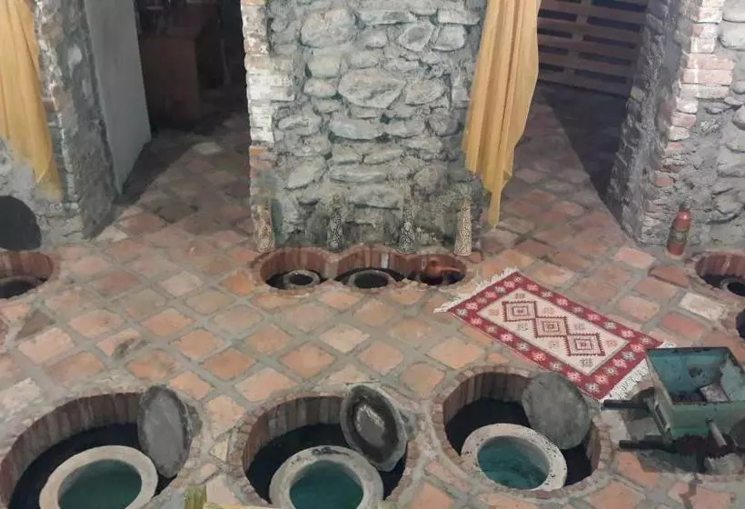 پانسیون Guest House Gzirishvili