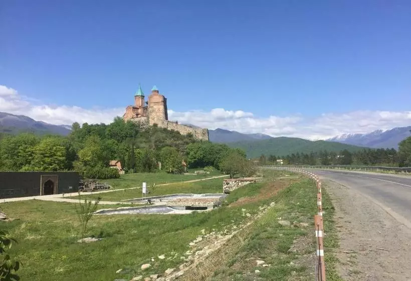 پانسیون Guest House Gzirishvili