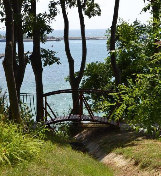 膳宿费 Nirvana Guest House