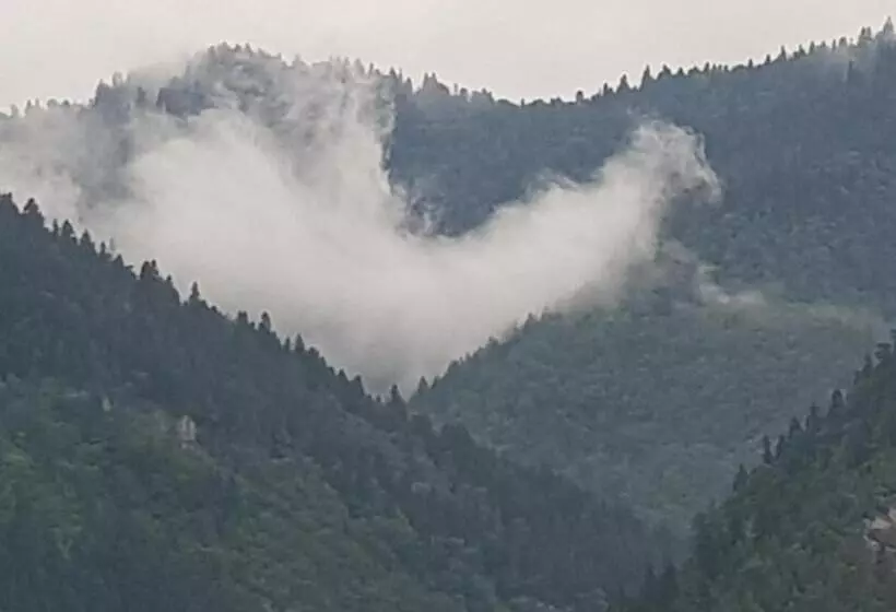 پانسیون Zeiko S Guesthouse