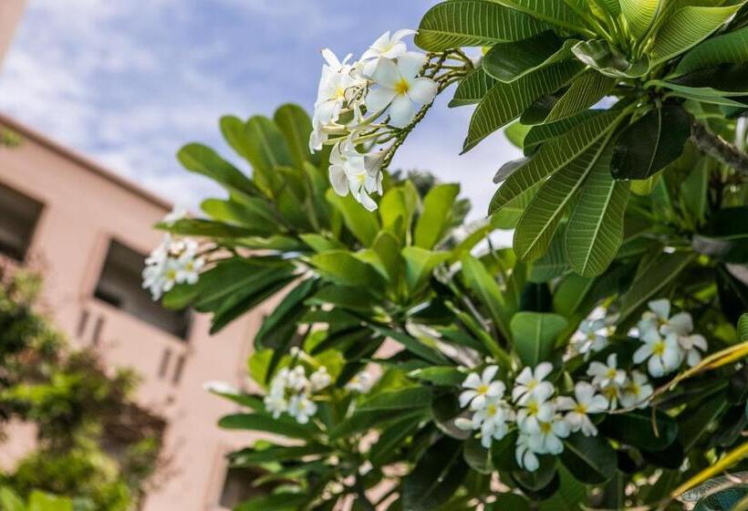 Albergue United Place