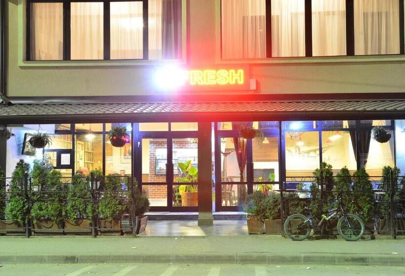 膳宿费 Casa Cojocaru