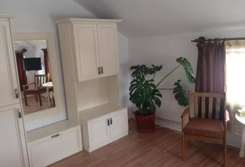 Pensiune Casa Craiova Nuova