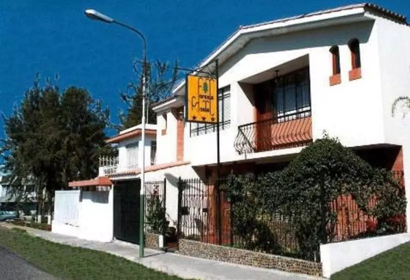 پانسیون Foresta Hostal
