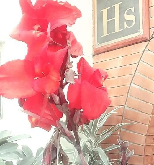 ペンション Foresta Hostal