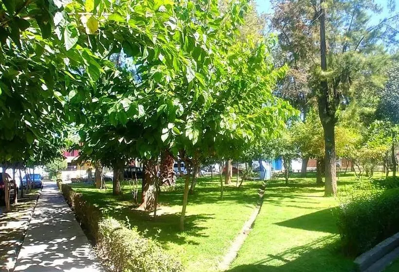 پانسیون Foresta Hostal