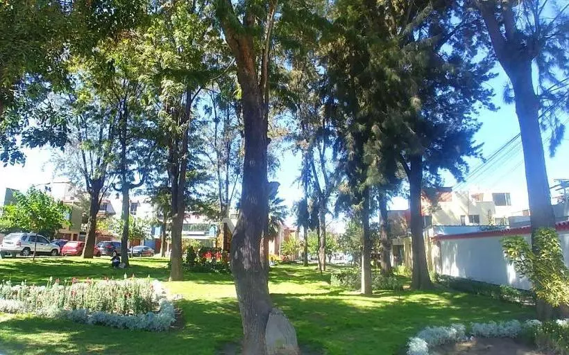 پانسیون Foresta Hostal