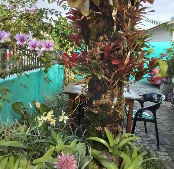 פנסיון Hospedaria Gengibre